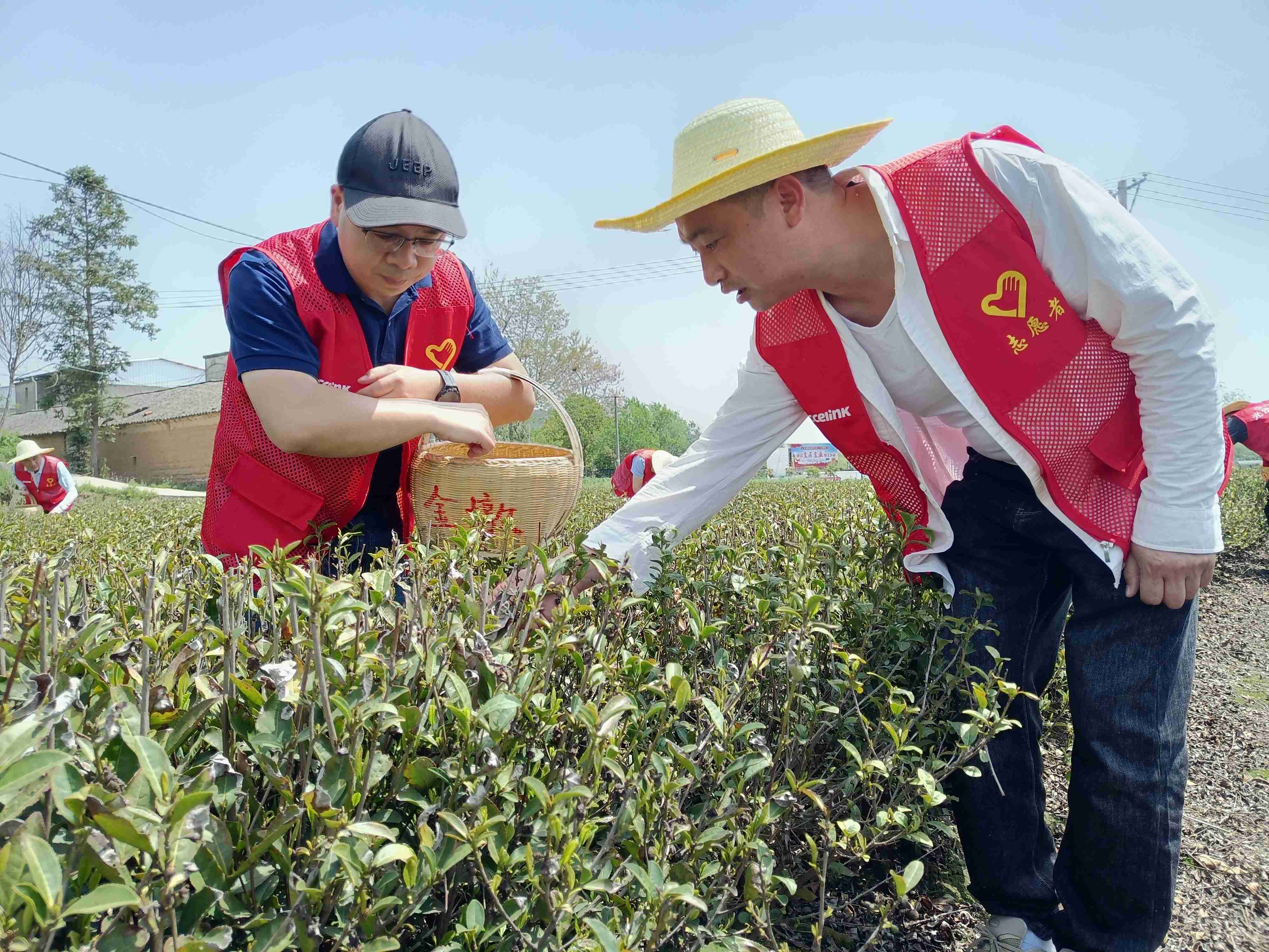 F6福鹿会平台_官方网站app下载